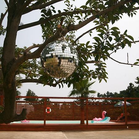 Eridu Cafe N Beds Hotel Seogwipo Ngoại thất bức ảnh