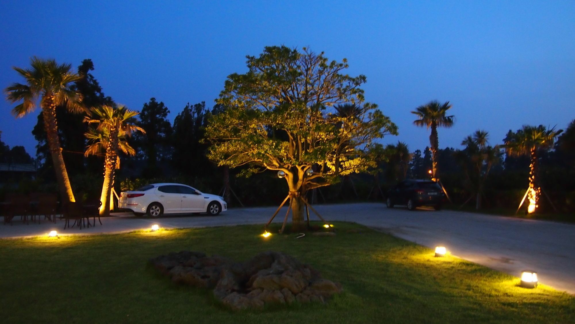Eridu Cafe N Beds Hotel Seogwipo Ngoại thất bức ảnh