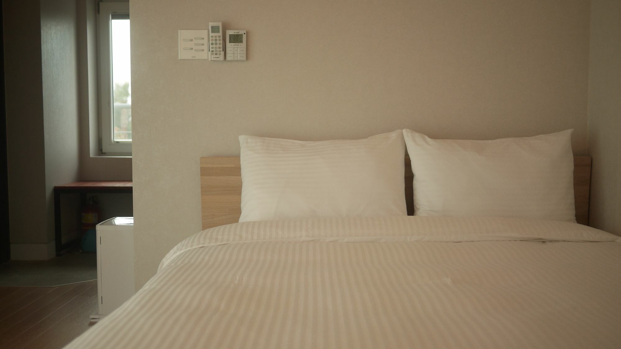 Eridu Cafe N Beds Hotel Seogwipo Ngoại thất bức ảnh
